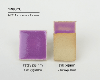 AR511 Brassica Flower - Terra Anatolia Fırça Sırı (200 ml) - Thumbnail